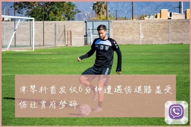 津琴科首发仅6分钟遭遇伤退膝盖受伤让贾府梦碎